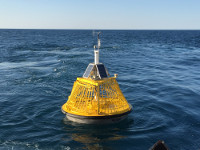 Name:  Buoy 46027.jpg
Views: 2399
Size:  23.5 KB