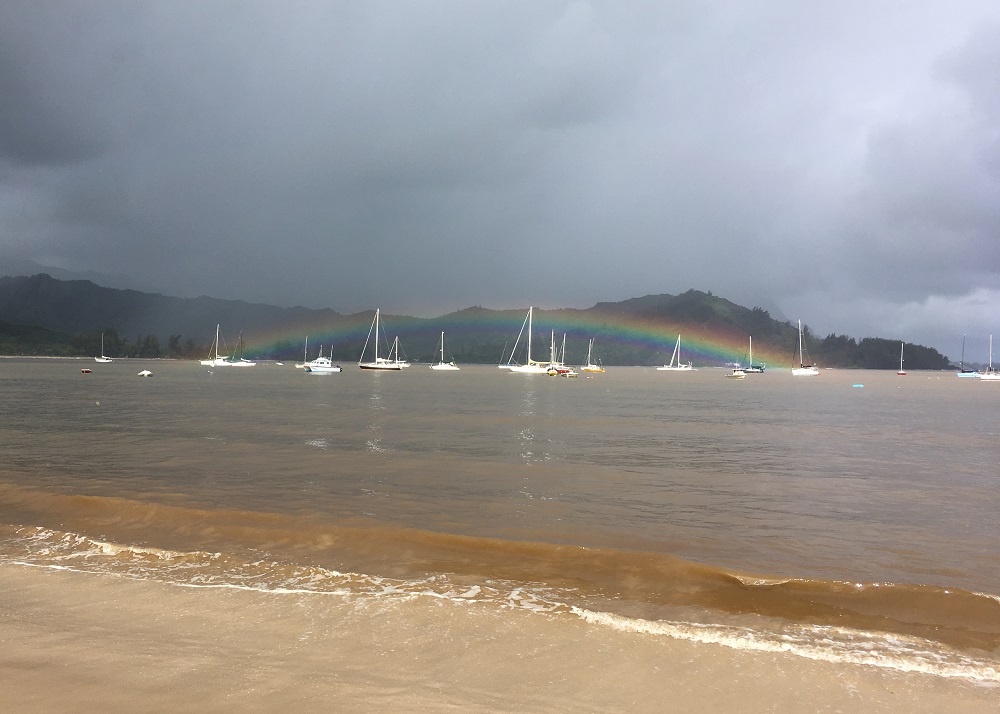 Name:  fleet under rainbow.JPG
Views: 2035
Size:  167.9 KB