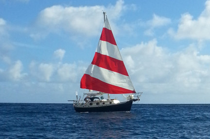 Name:  Maris crossing the finish line in Hanalei 071714.jpg
Views: 1198
Size:  57.9 KB