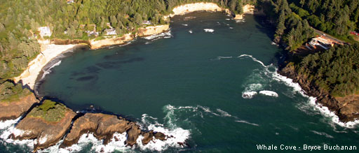 Name:  Whale Cove2.jpg
Views: 767
Size:  38.8 KB