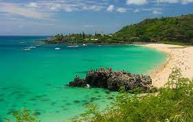 Name:  Haleiwa 2.jpg
Views: 504
Size:  8.3 KB