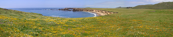 Name:  Montana de Oro Panorama.jpg
Views: 561
Size:  53.8 KB