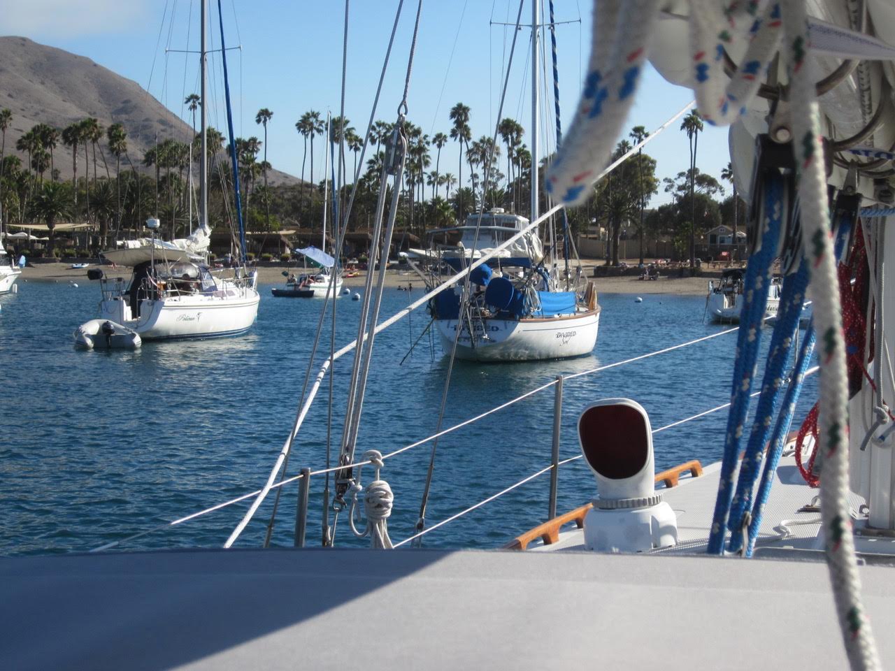Name:  Dolfin Bill moored at Catalina Island.jpg
Views: 3051
Size:  196.8 KB