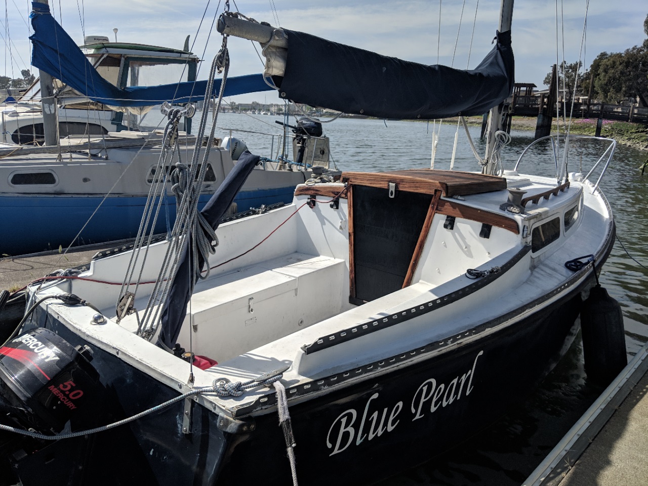 Name:  Blue Pearl_28 April 2019.jpg
Views: 519
Size:  424.2 KB