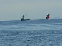 Farallones in the background