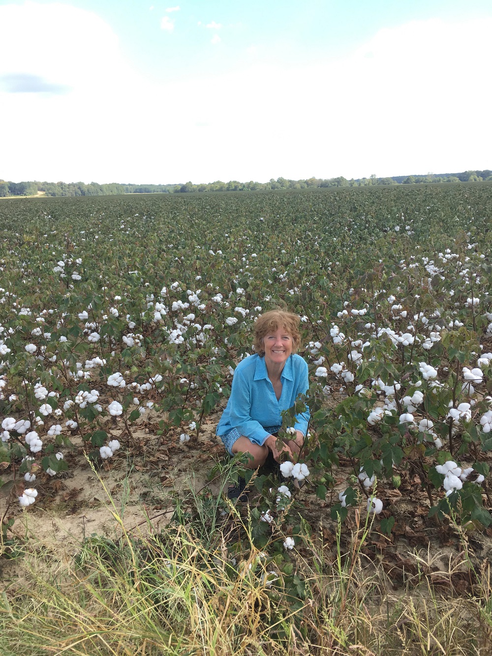 Name:  Jackie in cotton field.jpg
Views: 1639
Size:  652.6 KB