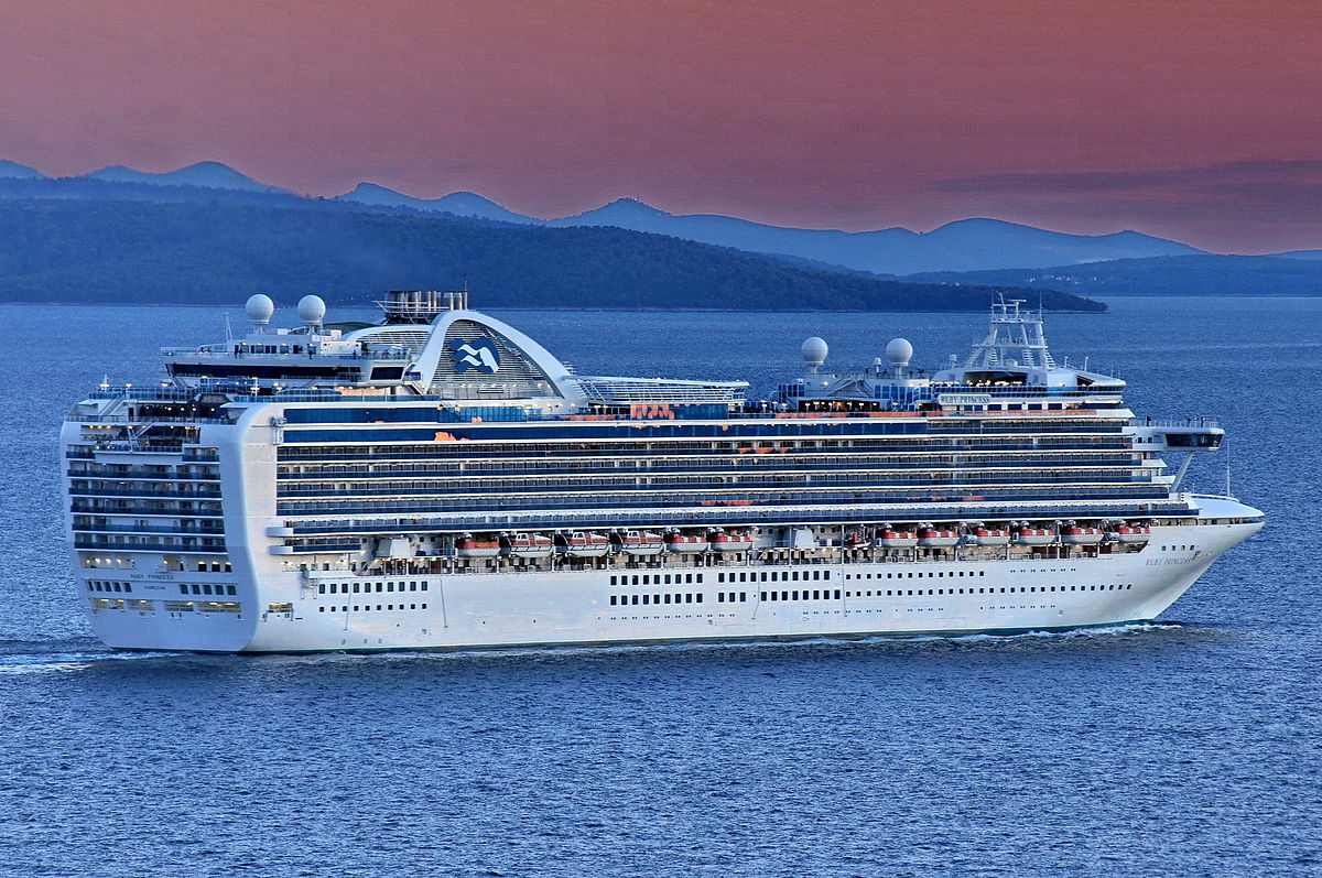 Name:  RUBY PRINCESS.jpg
Views: 1369
Size:  274.7 KB