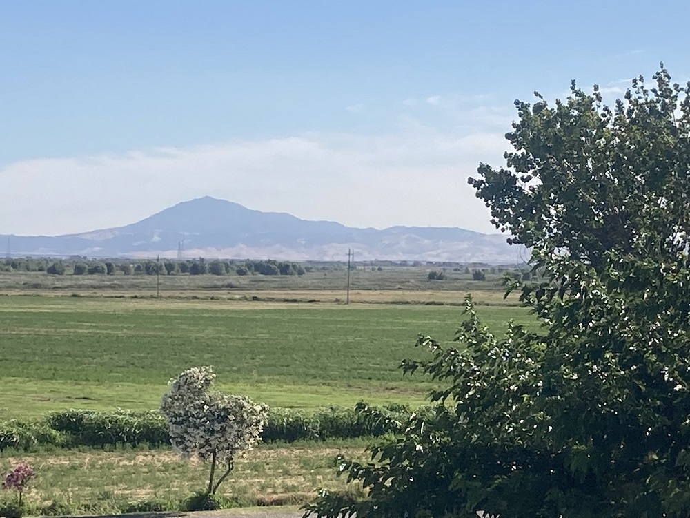 Name:  Mt Diablo across Twitchell Island alfalfa field.JPG
Views: 550
Size:  273.0 KB