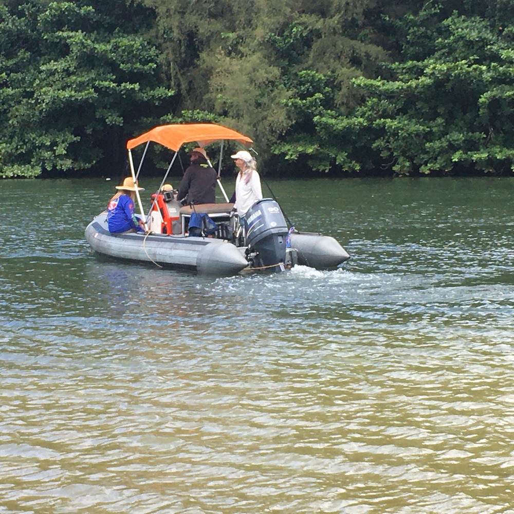 Name:  Sea Squirrel outbound on the Hanalei River.JPG
Views: 1852
Size:  443.0 KB