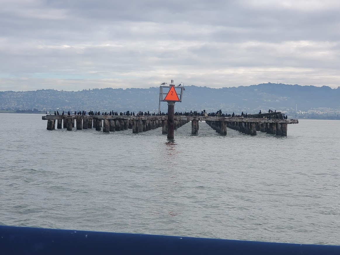 Name:  0935 Berkeley pier CW start.jpg
Views: 561
Size:  172.8 KB