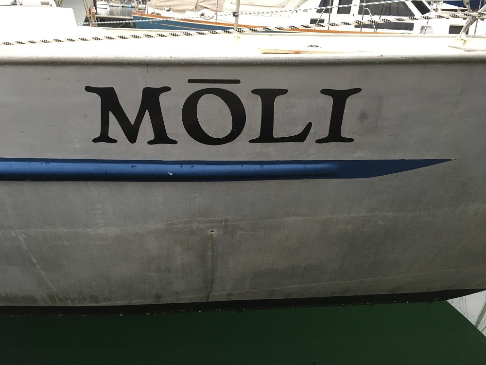 Name:  Moli.JPG
Views: 1390
Size:  195.2 KB